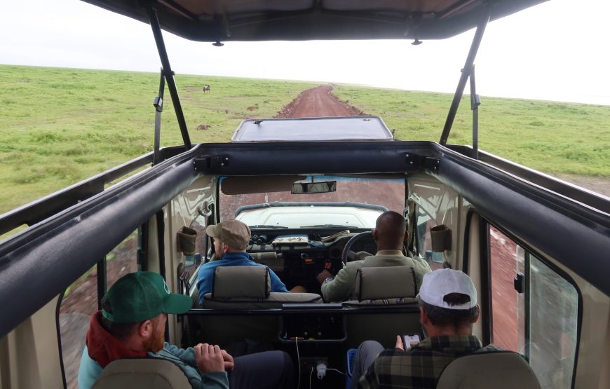 Add-On: Serengeti & Ngorongoro Crater Wildlife Safari